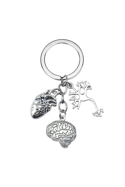 Choice K619 سلسلة مفاتيح تشريحية طبية على شكل خلية عصبية أو قلب أو دماغ أو حقيبة طبيب أو ممرضة