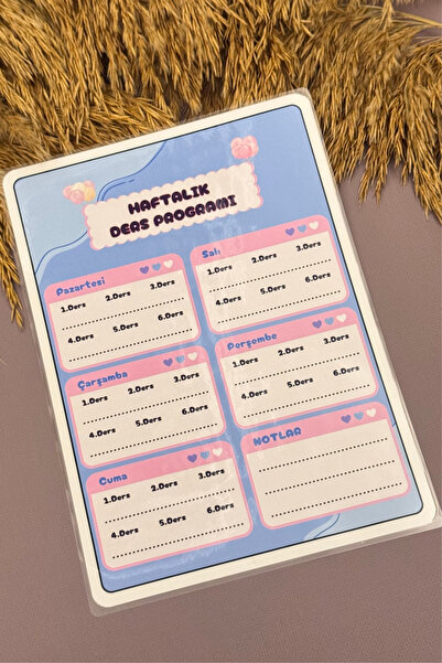 caps Program săptămânal de lecții utilizabil pe viață - Tracker desktop pentr...