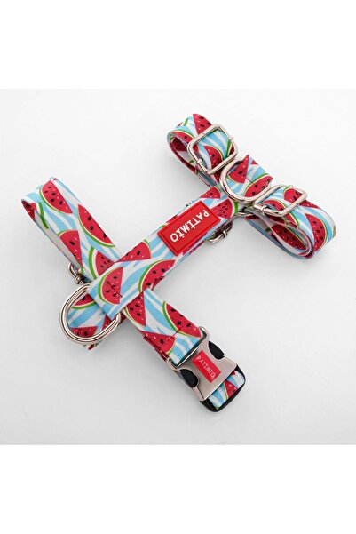 PATİMİO Watermelon Köpek Göğüs Tasması