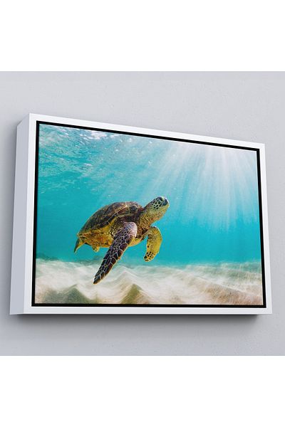 Harita Sepeti Tablou decorativ pe pânză Caretta Caretta cu cadru alb