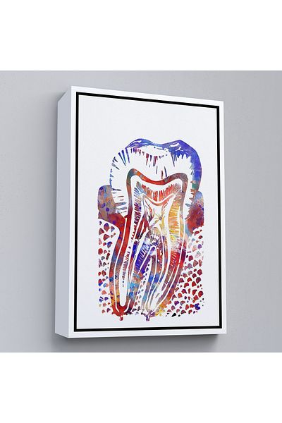 Harita Sepeti Diagramă de anatomie dentară în acuarelă cu cadru alb