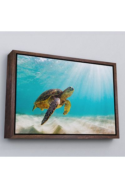 Harita Sepeti Tablou decorativ pe pânză Caretta Caretta cu cadru alb