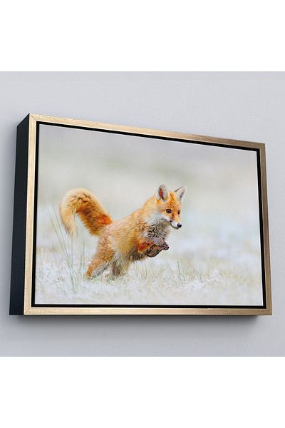 Harita Sepeti Pictură decorativă pe pânză Fox în cadru auriu