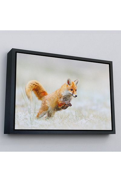 Harita Sepeti Pictură decorativă pe pânză Fox în cadru auriu