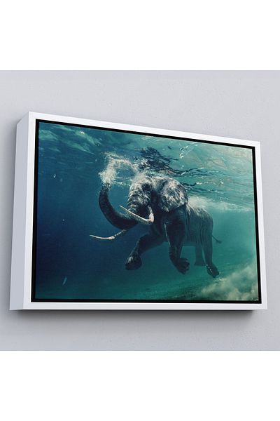 Harita Sepeti Pictură decorativă pe pânză elefant plutitor cu cadru alb