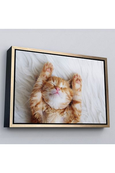 Harita Sepeti Pictură decorativă pe pânză cu pisoi în cadru auriu