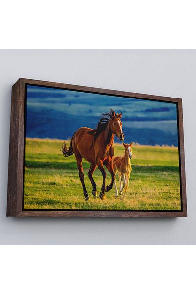 Harita Sepeti Horse and Thai Scenery Decorative Canvas Print with White Frame