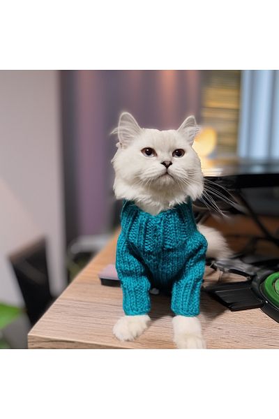 Lady Fify Turquoise Hair Braided Sweater for Cat Dog
