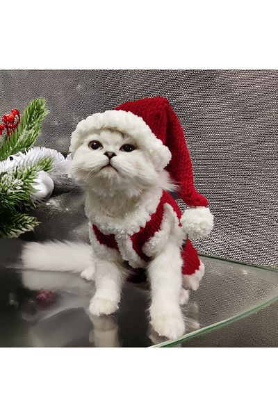 Lady Fify Costume Santa Claus for Cat Dog