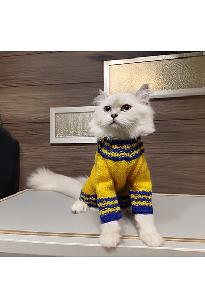 Lady Fify Yellow Canary Sweatshirt for Cat Dog