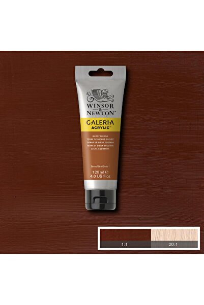 Winsor Newton Burnt Sienna Galeria Akrilik Boya 120ml