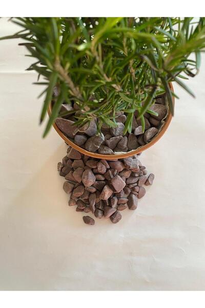 Erdönmez Peyzaj - Dolomit Bordo Renkli Taş (1-2 CM. BOY / 5 KG.) Dekoratif Ba...