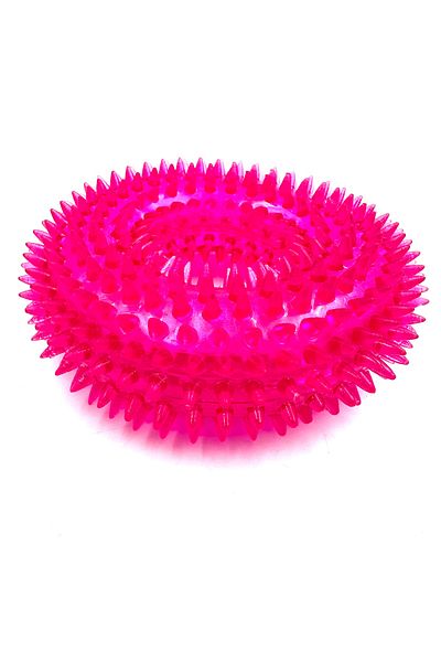 Tasma Market Caterpillar Caterpillar Sound Teether Dog Toy m Size