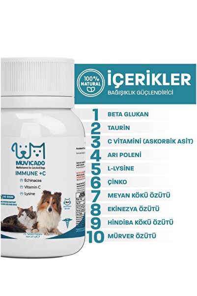 muvicado Immune C Kedi Ve Köpekler İçin Probiyotik Bağışıklık Sistemini Destekleyici Ve Güçlendirici Tablet