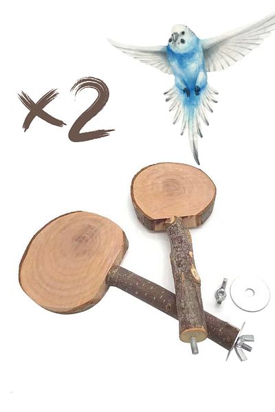 Alyones 2X Natural Tree Mount Bird Perch - Hamster and Squirrel for Divine Toy