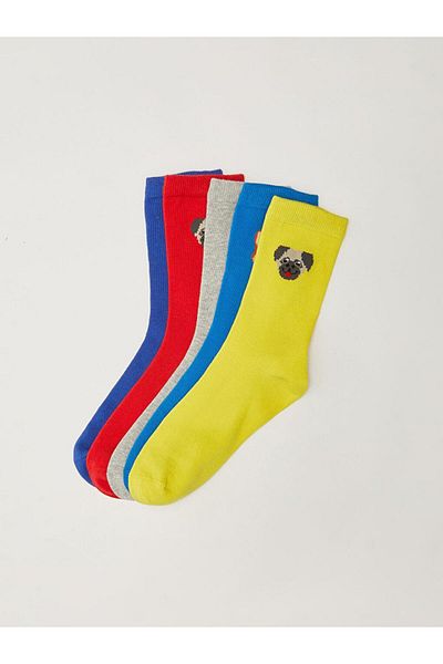 LC Waikiki Patterned Boy's Socks 5-Piece (W1)