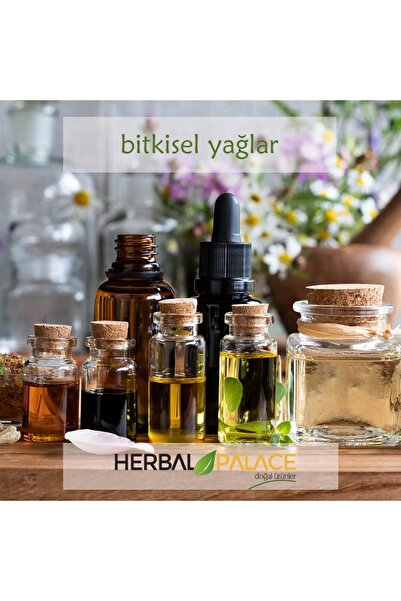 Herbal Palace Hazelnut Oil 50 ml