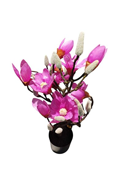 Mikasa Moor FUŞYA YAPAY MANOLYA AĞACI 60 CM