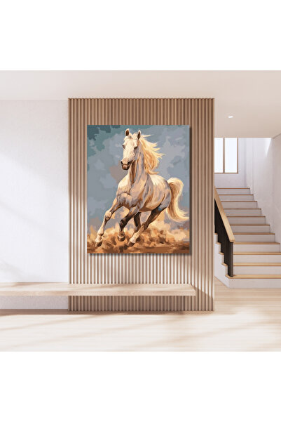 LİLYHOBBYLAND Sayılarla Boyama Hobi Seti (Renkli Baskılı Çerçeveli) 40x50 cm:...