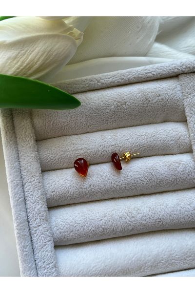 Pel Design Drop Red Agate Steel Earrings