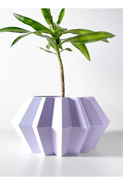 3D Brothers Exceptional Jun Planter   Elevated Design Solution with Robust Stand and Drainage Tray for