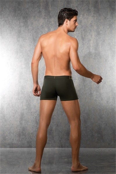 The LOG INVEST Doreanse Dark Green Boxers Men's Lettering 1766