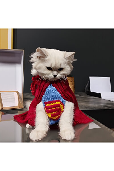 Lady Fify Kedi Köpek için Tek Parça Pelerinli Superman Kostümü