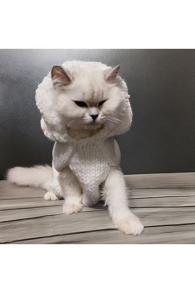 Lady Fify Furry Hooded White Sweater for Cat Dog
