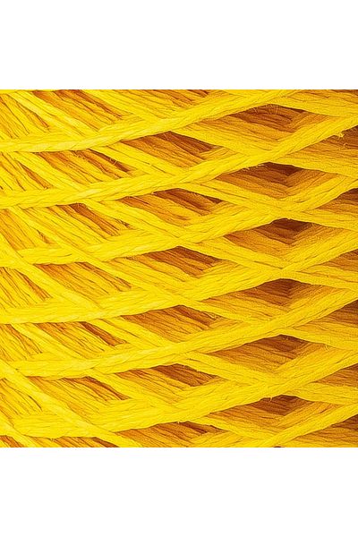 E NATIONAL Loren Paper Mustard Yellow Paper Floss - Rh24