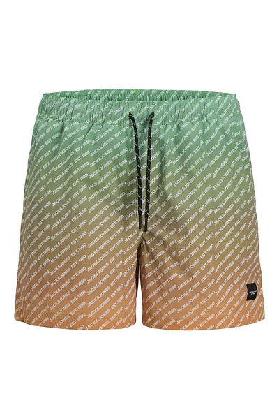 Jack & Jones Junior Badeshorts Regular Fit Badeshorts Junior