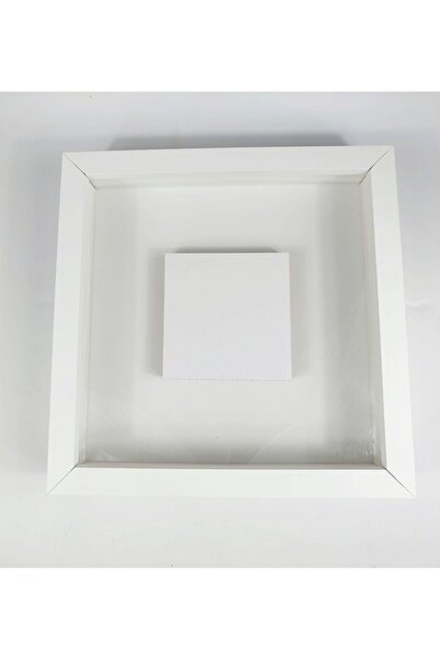 FY 25X25 Photo Gift 10X10 Photo Sectioned Memory Frame Rose Box Frame Flower Box