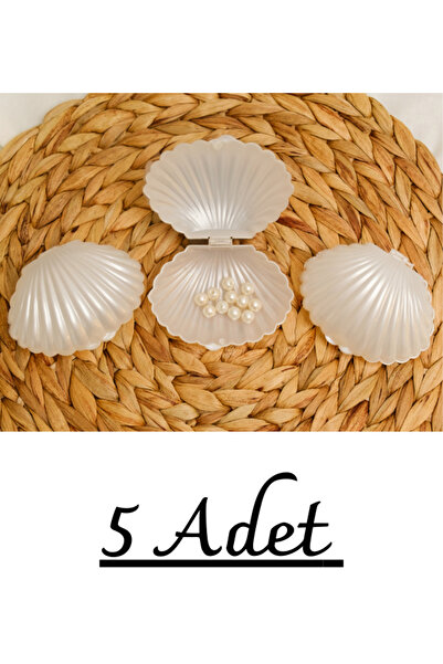 SEVİMLİ TASARİMLAR 5 Adet Hediyelik Boş İstiridye Kutusu Söz Nişan Kına Konse...