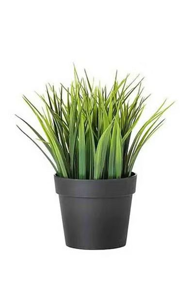 co arma Artificial decorative plant with plastic vase