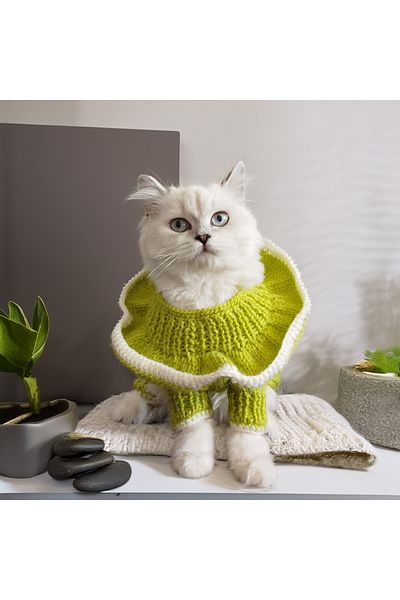 Lady Fify Pistachio Green Jumpsuit with Ruffled Collar for Cat Dog