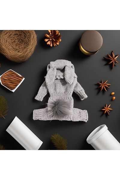 Lady Fify Gray Luminous Bunny Costume Jumpsuit for Cat Dog