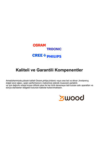 biwood APLİK Doğal KAYIN AĞACI (12W) Gün Işığı LED Gece Lambası
