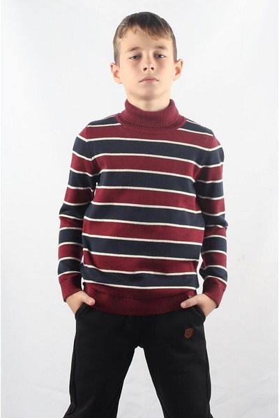 ALEXANDERGARDI Pulover pentru copii cu gât rotic (C23-7105)