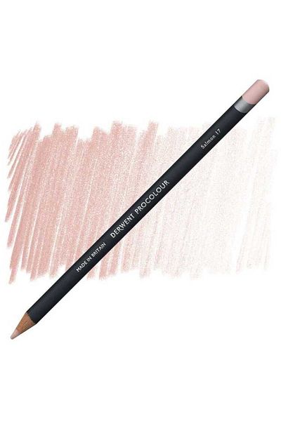 Derwent Procolour Dry Crayons - 17 Salon