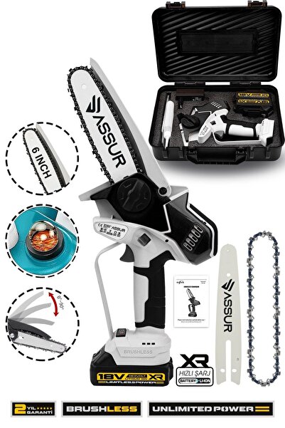 ASSUR 18V Metal Dişli Çift Batarya Kömürsüz Motor Şarjlı Testere Siyah Dal Ke...