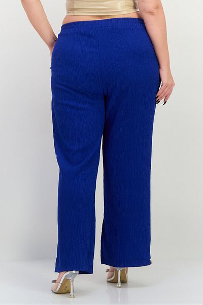 The Giving Movement Women Regular Fit Textured Palazzo Pants, Blue