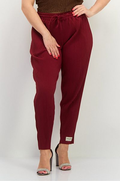 The Giving Movement Women Regular Fit Textured Tapered Pants, Maroon