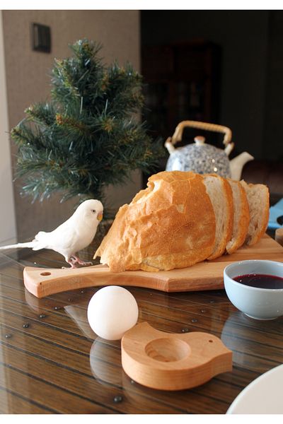 Teknofors Wooden Chick Egg Holder Tableware Presentation