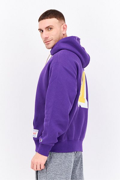 Champion Men Standard Fit Embroidered Outdoor Hoodie, Puprle