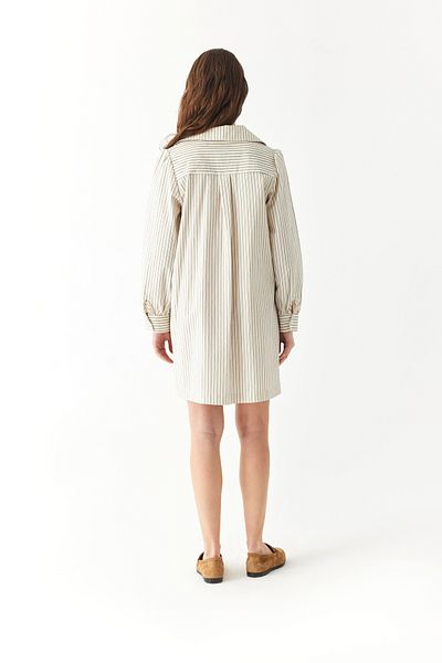 Mudo Mini Dress with Shirt Collar Stripes