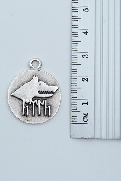 Bu Farklı Göktürkçe Türk - Kurt Madalyon Gümüş Kaplama Deri İp Kolye