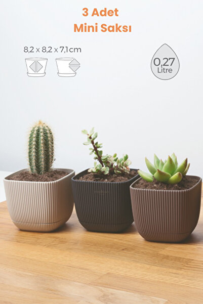 Melkan Home 3 Adet Mini Boy Saksı Seti Mercan Kare Saksı Set Dekoratif Saksı ...