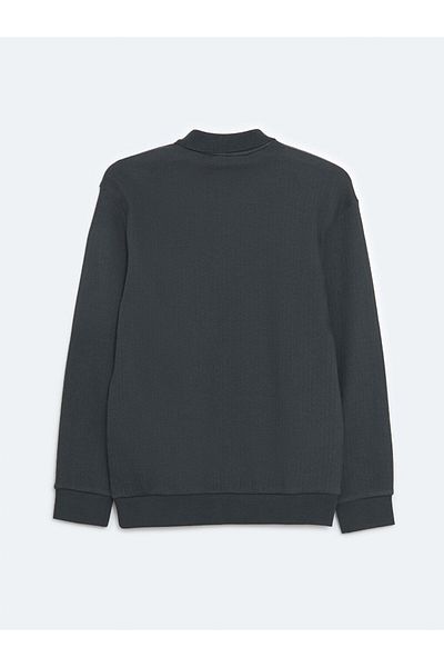 LC Waikiki Ανδρικό φούτερ LCW Vision Polo Neck