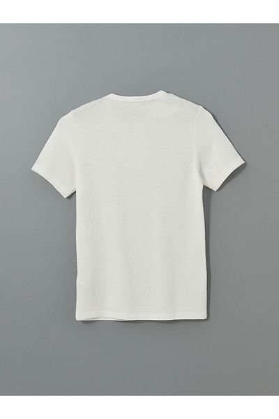 LC Waikiki Crew Neck Men's T-Shirt