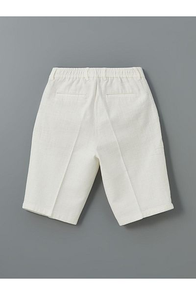 LC Waikiki LCW Vision Standard Fit Men's Shorts