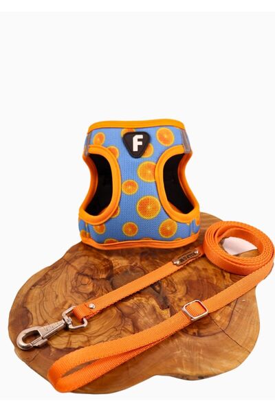 Falpaw Köpek Göğüs Tasma Seti Ayarlanabilir Gezdirme Kayışı Eller Serbest Portakal Desenli